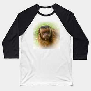 Tufted capuchin Baseball T-Shirt